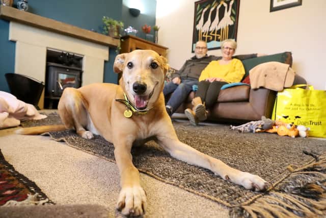 Jake has finally found a new home after spending nearly five years at Dogs Trust Leeds