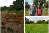 Linda and John Otley have spent five years turning an 'eyesore' made up of overgrown grass and rubbish into Seacroft Forest Garden