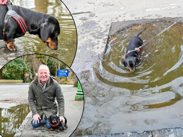 The huge pothole on Trinity Close in Stratford-upon-Avon, in front of the Holy Trinity Parish Centre and opposite to the Holy Trinity Church entrance. Local resident Matt Beacham, 57, with his sausage dog Richmond (inset).