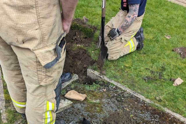 West Yorkshire Fire and Rescue was called to help with the operation. Photo: RSPCA.