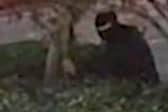 Hayden Frost lurks in the bushes next to a pub in Stechford, Birmingham.