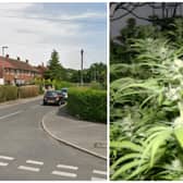 Macaj was caught at the house on Latchmere Gardens in West Park tending to the cannabis farm. (pics by Google Maps / National World)