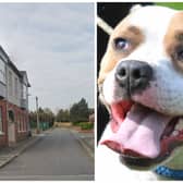 The Staffordshire Bull Terrier (not pictured) attacked three people and another dog on Granville Street and Carlton Street in Normanton. (library pics from Google Maps / National World)