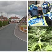 The 336-plant cannabis farm was found at the house on Brian Place, Crossgates. (pics by Google Maps / National World)
