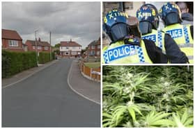 The 336-plant cannabis farm was found at the house on Brian Place, Crossgates. (pics by Google Maps / National World)