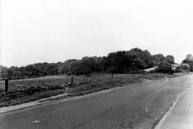 King Lane from the bottom of The Avenue, with rough pasture and woods in the Adel Crags area in the background. Adel Crags are sometimes referred to as Alwoodley Crags. To the right a farmhouse can be seen. The open field shown now has a small playground on it. Pictured in July 1951.