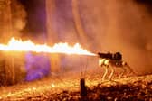 The Thermonator flamethrowing robot dog. 