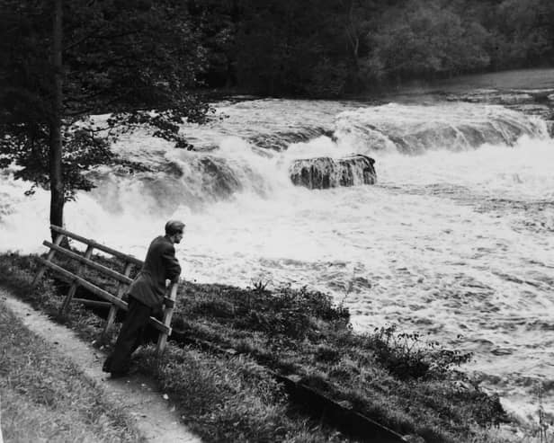 The wonder of Aysgarth Falls in October 1954.