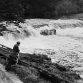 The wonder of Aysgarth Falls in October 1954.
