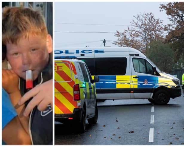 Alfie Lewis died after being stabbed outside a school. (pics by SWNS)