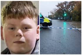Alfie Lewis (pictured) died after being stabbed in the street in Horsforth. (pics by WYP / SWNS)