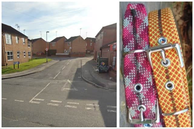 James struck the man with a single punch after wrapping a dog lead around his hand. (pics by Google Maps / SWNS)