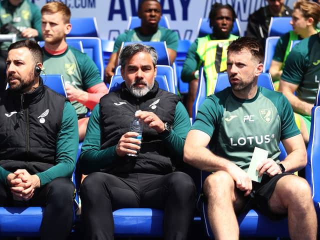 WHITES VERDICT: From Norwich boss David Wagner.