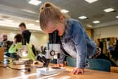 Geology Rocks Returns This Weekend. Photo JMA Photography, NCMME.
