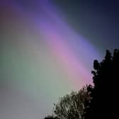 Stuart said that you could see the lights without a camera but that a low light phone camera allowed you to "see it in all its glory and make out the colours". He said: "It’s like nature is making the perfect photo moment!"