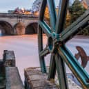 Wetherby Riverside, a stretch along the River Wharfe, has been given the green light to become a designated bathing site. Photo: Oliver - stock.adobe.com.