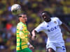 Opta predicts Championship play-off results as Leeds United given promising Norwich City sign amid Southampton and West Brom verdict