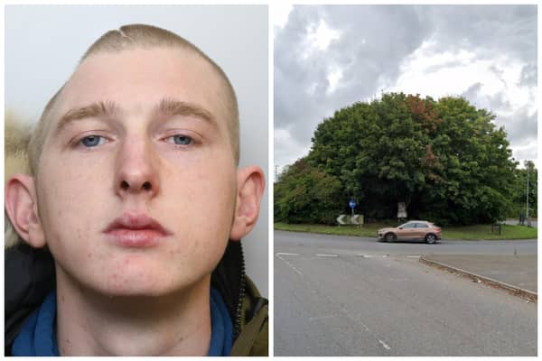 Isaac Nicholson (pictured) was jailed today for four years for causing the death of his cousin after he lost control of the car he was driving and ploughed into a tree on a roundabout (pics by WYP / Google Maps)