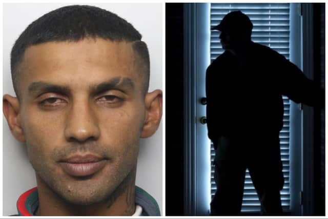Demeter (pictured) burgled three homes, travelling around the country. (pics by WYP / National World)