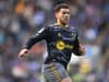 Russell Martin drops pivotal Che Adams and Ross Stewart injury news ahead of Leeds United showdown