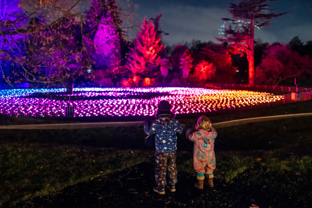 Northern Lights is coming to Temple Newsam in Leeds this Christmas. Picture by Hanglands