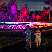 Northern Lights is coming to Temple Newsam in Leeds this Christmas. Picture by Hanglands