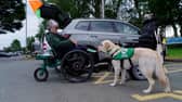 Supergran Mary Lamb to 'climb' the Three Peaks with her assistance dog Sheldon. 