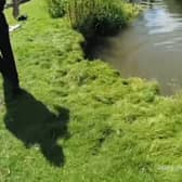 Fynley Jefferies emerges from river after jumping in to escape police.
