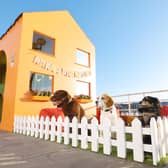 London's super-size doghouse - a treasure trove of toys - and a doggy-only ramp to travel up and down floors