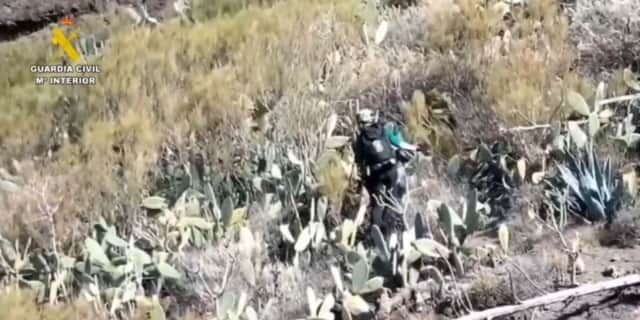 Spanish police search the Rural de Teno national park for missing teenager Jay Slater.