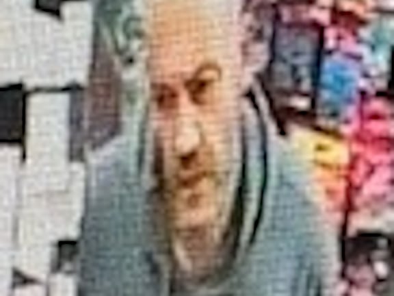 Crime Type: Theft from Vehicle. Offence Date: 15/06/2024. Photo reference: LD8369. Area: Leeds.