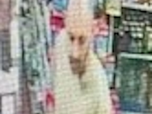 Crime Type: Theft from Vehicle. Offence Date: 15/06/2024. Photo reference: LD8370. Area: Leeds.