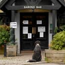 A dog waits outside the Polling Station at the Lord Darcy Public House (Barons Bar) on Harrogate Road in Alwoodley