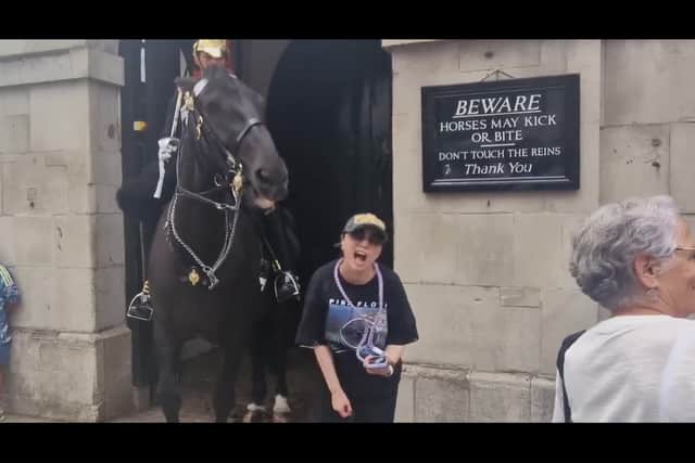 A shocked tourist is bitten on the arm by a King's Guard horse