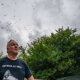 Gary Hough, 62, looks up to the skies outside his home surrounded in seagull