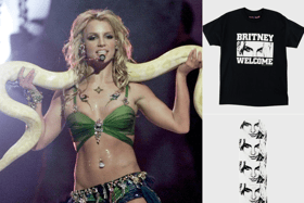 What's on offer from the new Britney Spears collaboration with skateboard brand Welcome? (Credit: Getty Images/Welcome Skateboards.)