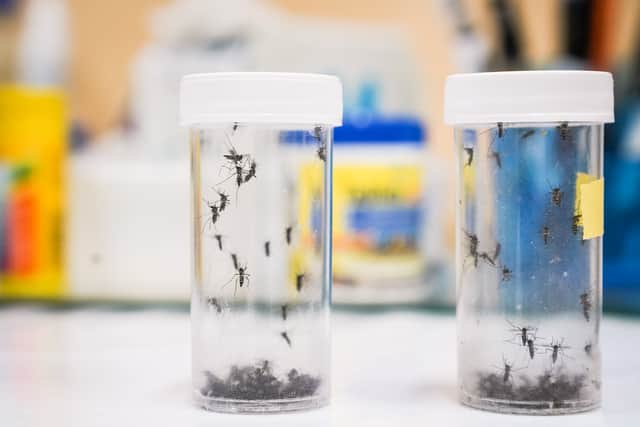 A warning has been issued to holidaymakers heading to Spain as a deadly virus is surging. (Photo: Getty Images)