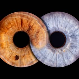 Eyeconic captures the beauty of eyes through high-definition iris imagery
