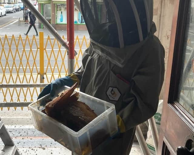 Bee removal company work to remove the ten-year-old bee nest discovered in Leyton Engineer pub in Leyton, London, August 15 2024.
