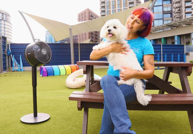 Using scent games, interactive games, and meeting new canines include some of the ways you can keep your pooch happy - without splashing the cash, according to Battersea