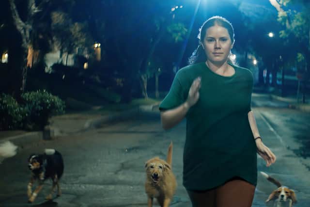 Amy Adams stars in the big-screen adaptation of Rachel Yoder's celebrated work, "Nightbitch."