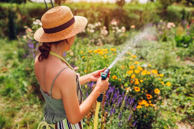 When tending their gardens, more than 42 per cent enjoy watering plants, 31 per cent thrive from mowing the grass, and 35 per cent love harvesting their own fruit and veg.