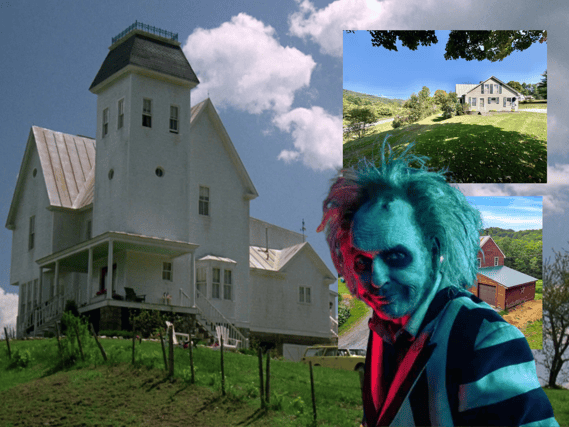 How much is the Maitland/Deetz house worth in the current housing market - despite the unwanted squatter pictured here?