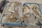 Border Force officers located five suitcases with 160 packages of cannabis in them