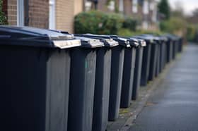 Row of black wheelie bins lined up on a residential street, ready for collection.