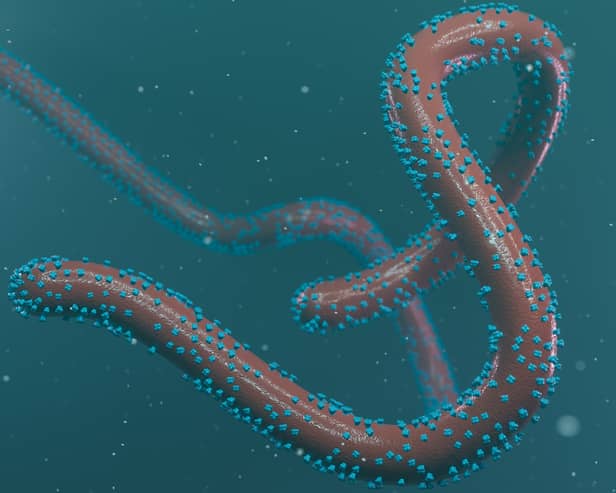 Rwanda declared an outbreak of the Marburg virus on September 27.