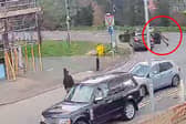Police officer clings to car roof as suspect speeds off.