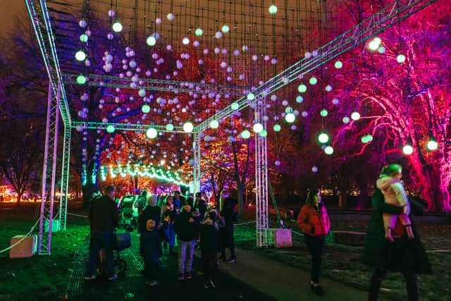 Northern Lights is set to make its debut in Leeds this winter at Temple Newsam. Photo: Northern Lights