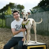 I met four-year-old Rory, a Lurcher who was found as a stray by the team at Dogs Trust Leeds.