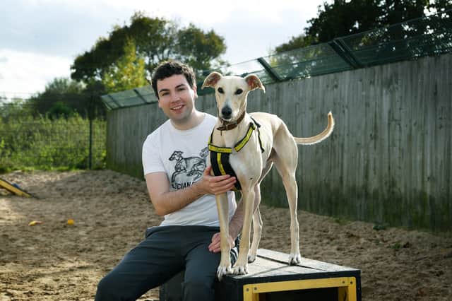 I met four-year-old Rory, a Lurcher who was found as a stray by the team at Dogs Trust Leeds.